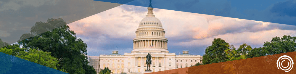 Reading the Tea Leaves: Potential Tax legislation in the New Congress header image