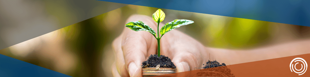Smart Financial Planning helps young professionals manage their finances for a better future.